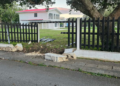 Construction boss stunned by fresh crash damages barrier built to shield royal palace fence