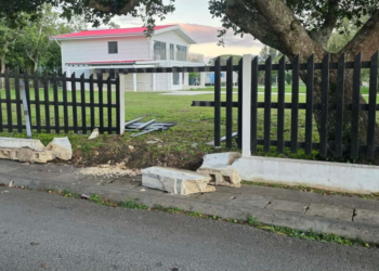Construction boss stunned by fresh crash damages barrier built to shield royal palace fence