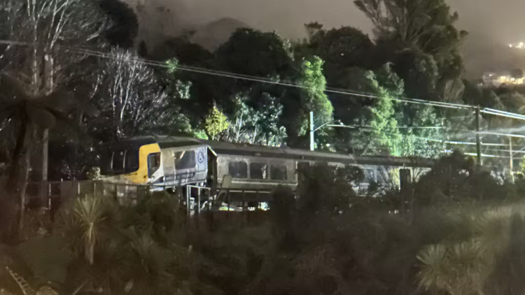 ‘Shook the house’: Eight injured in Wellington train derailment