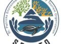 SPECTO: Early closure of turtle watching tours for 2026 Season