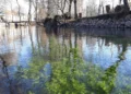 A natural phenomenon that connects Croatia and BiH, this river rises five times and has several names