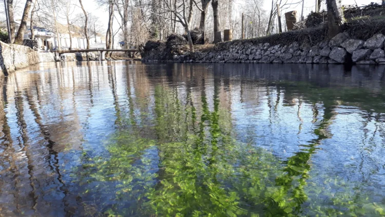 A natural phenomenon that connects Croatia and BiH, this river rises five times and has several names