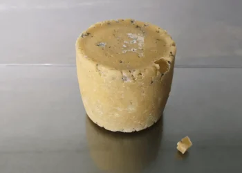 Bacteria from celebrities’ armpits turned into cheese, the project caused stormy reactions