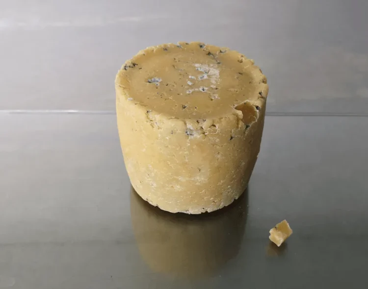 Bacteria from celebrities’ armpits turned into cheese, the project caused stormy reactions
