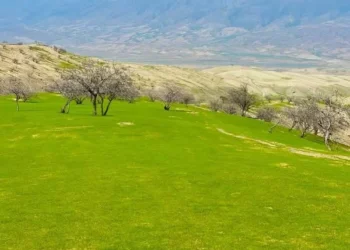 The carpet weaving industry in Baghlan has grown by 20 percent