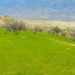 The carpet weaving industry in Baghlan has grown by 20 percent