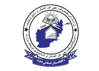 Last month, almost 500 cases related to women were investigated by the Ministry of Human Rights