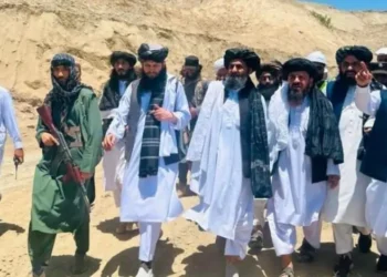 The Deputy Minister of Economy visited the Safwan Cement Factory in Parwan