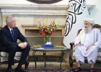 The Prime Minister of the Islamic Emirate of Afghanistan met with the Deputy Prime Minister and the Minister of Economy of Kazakhstan