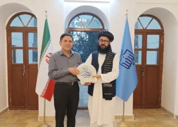 The Consul General of Afghanistan in Mashhad discusses the promotion of academic cooperation with Birjand University