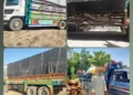 Timber smuggling stopped in Paktika