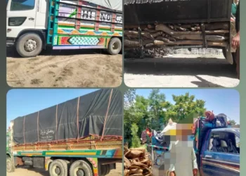 Timber smuggling stopped in Paktika