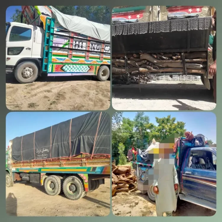 Timber smuggling stopped in Paktika