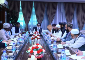 The Minister of Public Health insisted on the quick solution of the problems and shortcomings of the implementing institutions