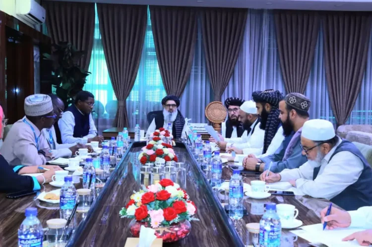 The Minister of Public Health insisted on the quick solution of the problems and shortcomings of the implementing institutions