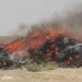 Helmand; More than 11 tons of smuggled drugs were burned in Bahramche district