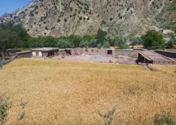 A building for a religious seminary is being built in Logar at a cost of nearly 2 million Afghanis
