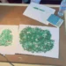For the first time in Panjsher, green garnet precious stones were sold