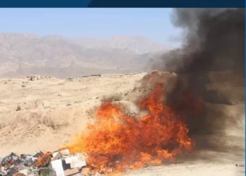 More than one ton of substandard materials were destroyed in Daykandi
