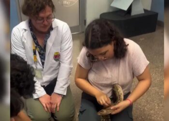 Biology students ask for support to save César