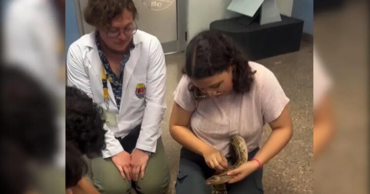 Biology students ask for support to save César