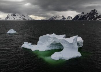Researchers measure highest June temperature in Antarctica – DiePresse.com