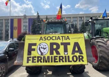 At a farmers’ protest, a Democracy at Home MP hit a policeman with a tractor wheel. The police drew up a report