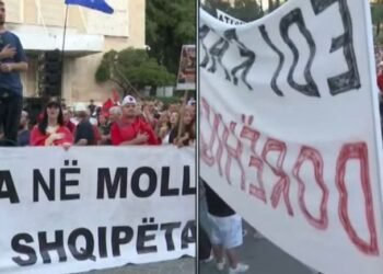 Thousands in the square, the Albanian from the Diaspora denounces: Some of us left, but the police fined them at customs for having flags in the car