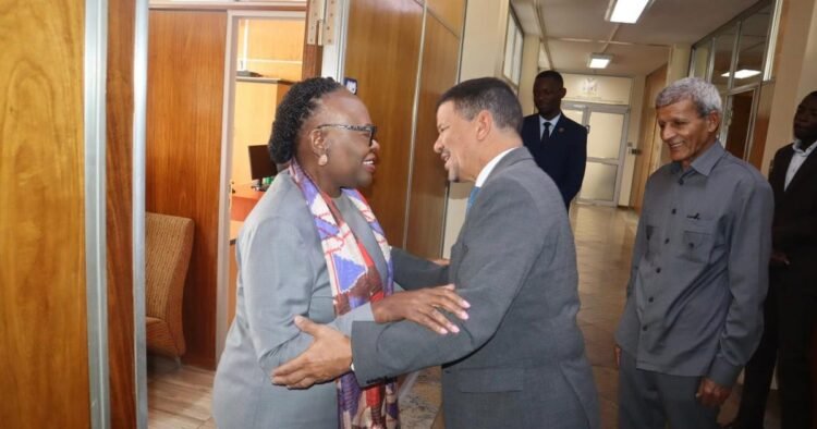 Minister of Foreign Affairs and African Affairs received by Namibia’s Minister of International Relations and Trade