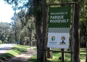 These sounds disturb sleep and their vibrations can cause fatigue: residents of Roosevelt Park against tents for events