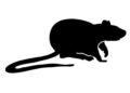 Cedar Grove parents raise concerns over rodent issue