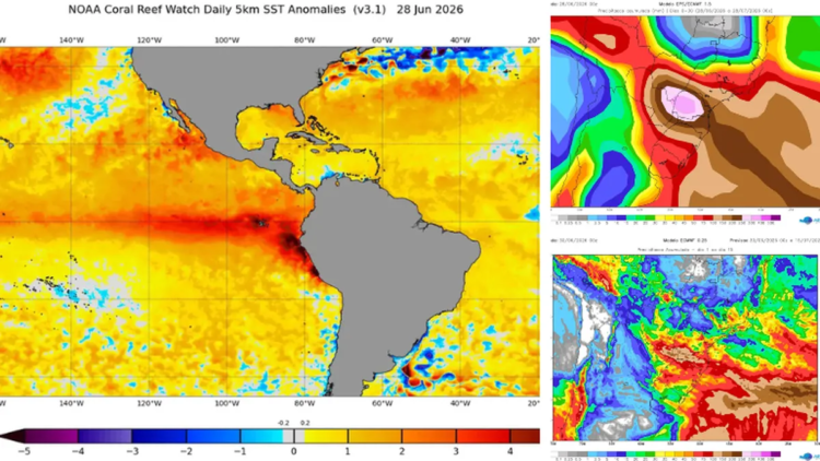 Metsul anticipated what July 2026 will be like with an increasingly intense Niño: what can happen in Uruguay