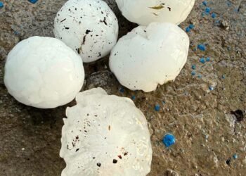 As a result of the hail, gardens and lands near the houses were damaged in the settlements of Voskepar, Baghanis, Voskevan, Koti.