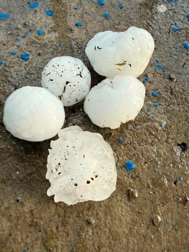 As a result of the hail, gardens and lands near the houses were damaged in the settlements of Voskepar, Baghanis, Voskevan, Koti.