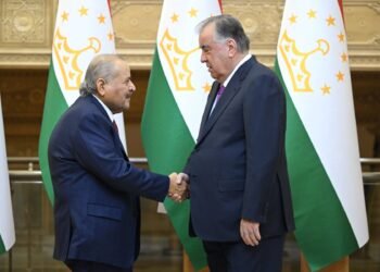 Emomali Rahmon presented promising projects for investment to Qatari business
