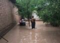 In Tajikistan, mudflows and landslides occurred again, roads, canals and power lines were damaged