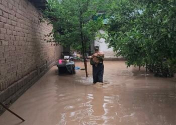 In Tajikistan, mudflows and landslides occurred again, roads, canals and power lines were damaged