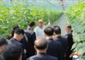 Kim Jong Un Inspects Sinuiju Combined Greenhouse Farm