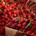 They examined the cherries more closely: This is how they deceive us