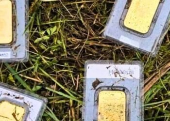 Municipal worker accidentally found gold worth 40,000 euros while mowing the lawn