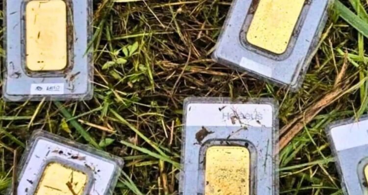 Municipal worker accidentally found gold worth 40,000 euros while mowing the lawn