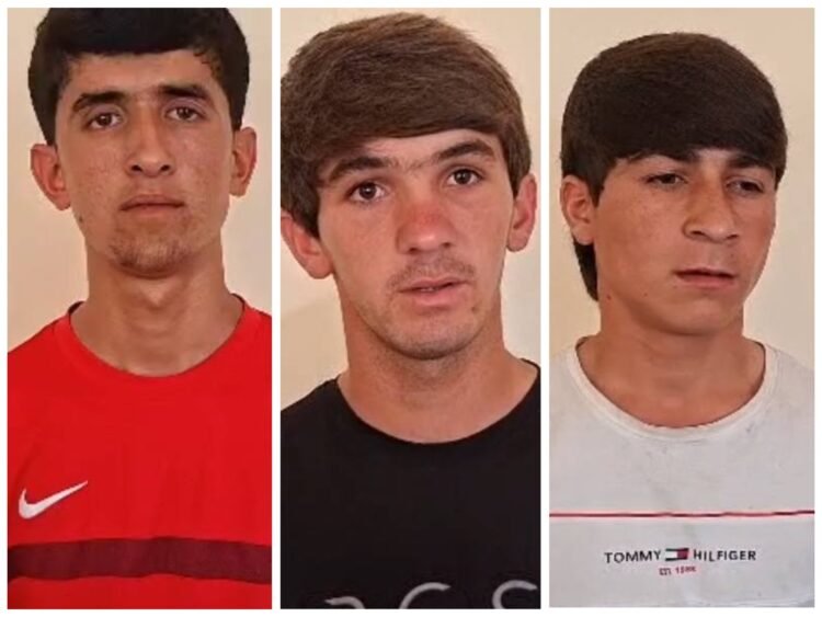 In Farkhor, young people who abused a puppy were punished