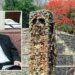 Copán attracts Japanese interest for tourism and cultural investment