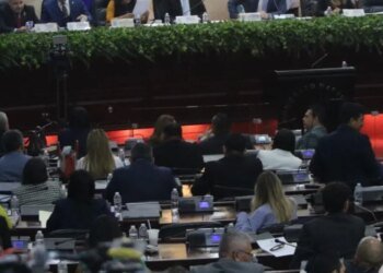 Congress discusses electoral reforms and authorities