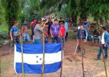 Law in force to protect the agroindustrial sector