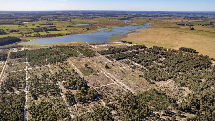 We are trying to impose a private neighborhood: residents of Canelones questioned the farm project in Laguna del Cisne in Parliament