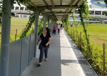 How Singapore’s covered walkways could help shape Ho Chi Minh City’s public transportation future