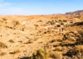 List Of 10 Least Forested Countries In The World [2026]