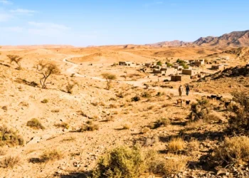 List Of 10 Least Forested Countries In The World [2026]