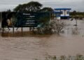 UN warns of 80% probability of an El Niño episode